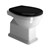 Classic 54 Back to Wall Toilet with High Level Cistern