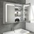 Stratus 60 LED Illuminated Mirror Cabinet with Double-sided Mirrored Doors - 600 x 700mm