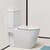 Close coupled toilet